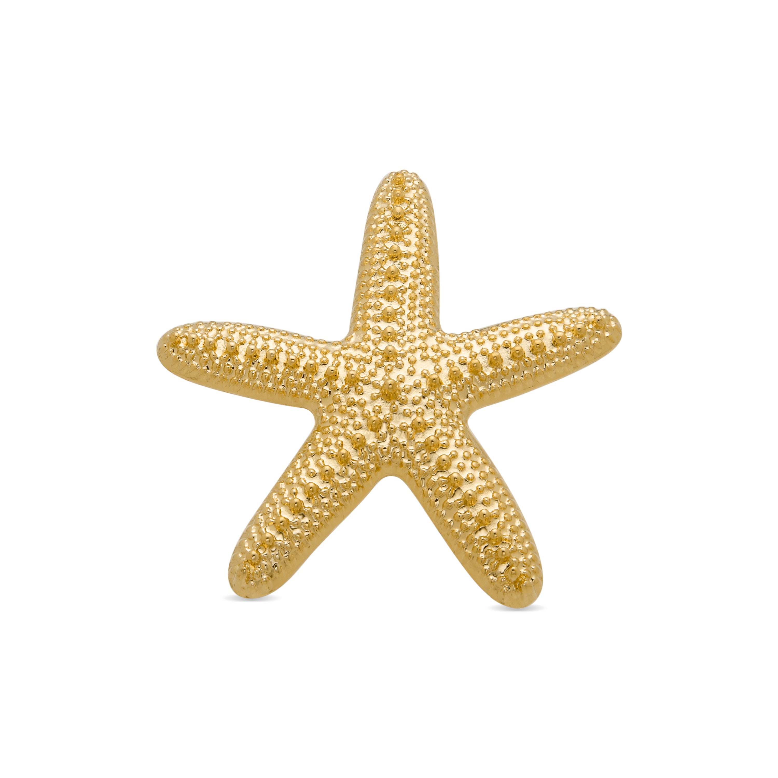 Broche acabado en oro amarillo de 18k - Star
