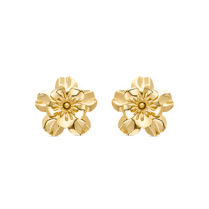 Pendientes acabados en oro amarillo 18K