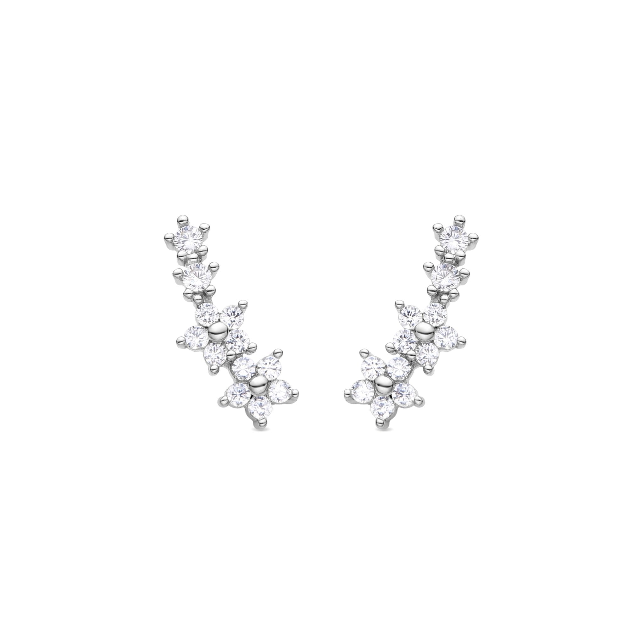 Silver finish earrings